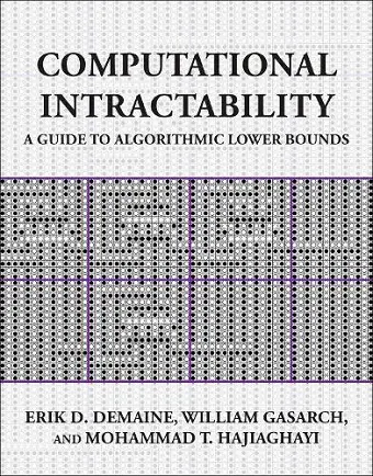 Computational Intractability cover