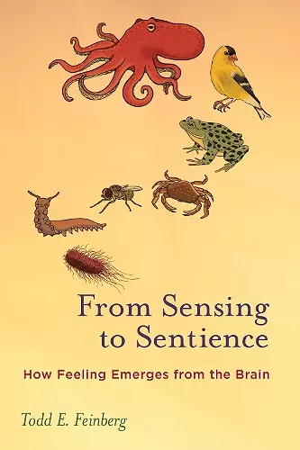 From Sensing to Sentience cover