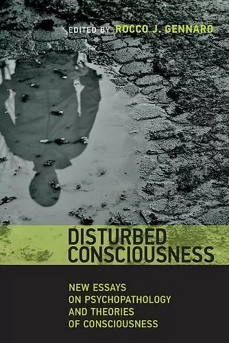 Disturbed Consciousness cover
