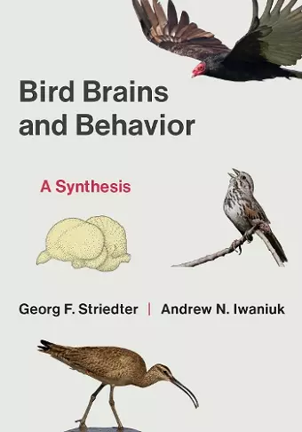 Bird Brains and Behavior cover