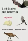 Bird Brains and Behavior cover