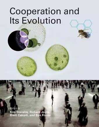 Cooperation and Its Evolution cover