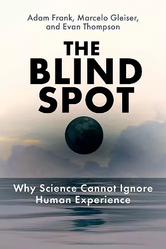 The Blind Spot cover