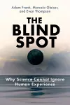 The Blind Spot cover