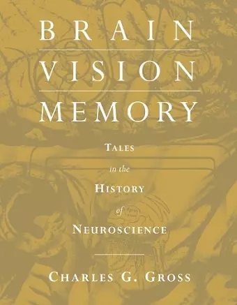 Brain, Vision, Memory cover