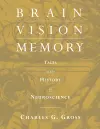 Brain, Vision, Memory cover