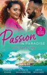 Passion In Paradise: Holiday Fling cover