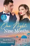 One Night, Nine Months cover