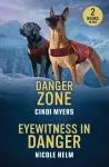 Danger Zone / Eyewitness In Danger cover