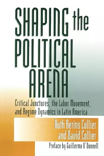 Shaping the Political Arena cover