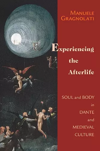 Experiencing the Afterlife cover