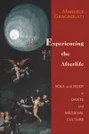 Experiencing the Afterlife cover