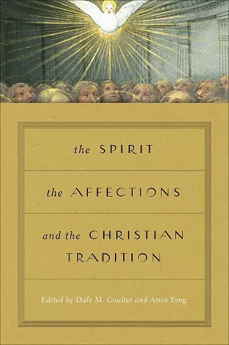 The Spirit, the Affections, and the Christian Tradition cover