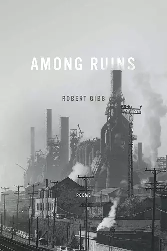 Among Ruins cover