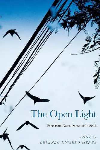 The Open Light cover