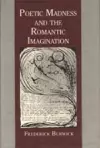 Poetic Madness and the Romantic Imagination cover
