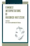 Feminist Interpretations of Friedrich Nietzsche cover