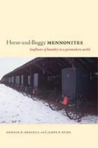 Horse-and-Buggy Mennonites cover