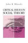 Critical Issues in Social Theory cover