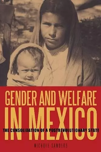 Gender and Welfare in Mexico cover