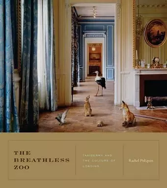 The Breathless Zoo cover