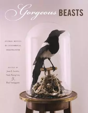 Gorgeous Beasts cover