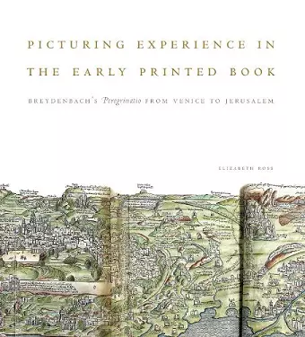 Picturing Experience in the Early Printed Book cover