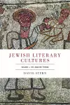 Jewish Literary Cultures cover