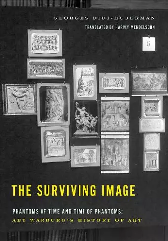 The Surviving Image cover