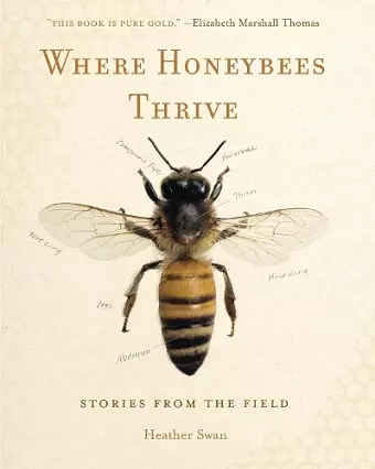 Where Honeybees Thrive cover