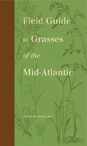 Field Guide to Grasses of the Mid-Atlantic cover