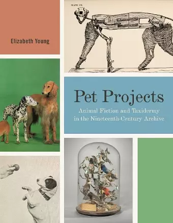 Pet Projects cover