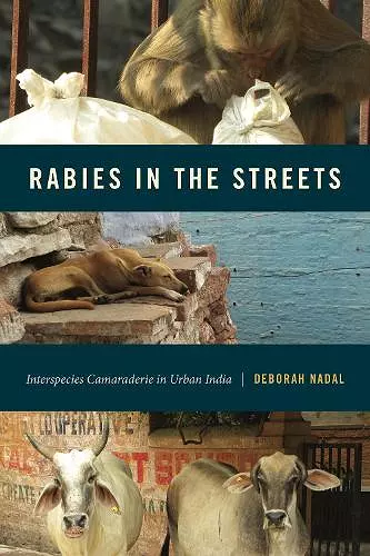 Rabies in the Streets cover