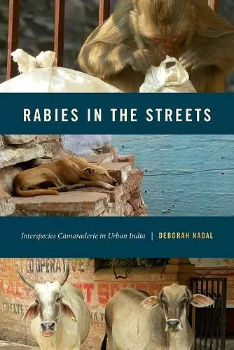 Rabies in the Streets cover