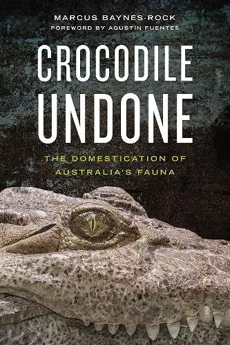Crocodile Undone cover