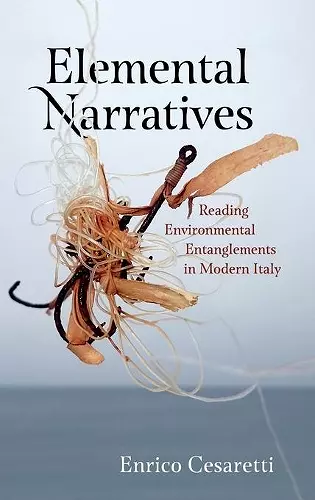 Elemental Narratives cover