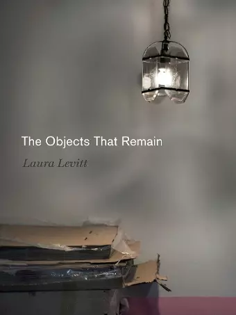 The Objects That Remain cover