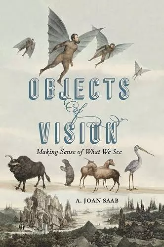 Objects of Vision cover