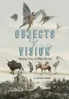 Objects of Vision cover