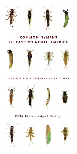 Common Nymphs of Eastern North America cover