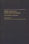 Public Finance in Small Open Economies cover