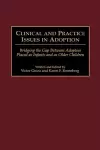 Clinical and Practice Issues in Adoption cover