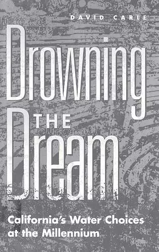 Drowning the Dream cover