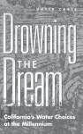 Drowning the Dream cover