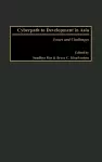 Cyberpath to Development in Asia cover