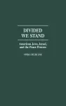 Divided We Stand cover