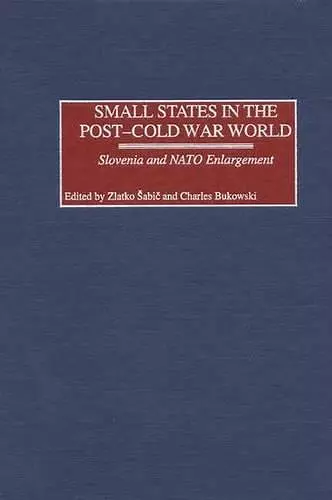 Small States in the Post-Cold War World cover