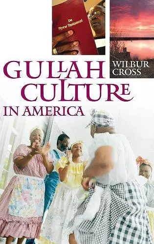 Gullah Culture in America cover