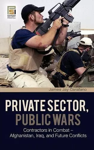 Private Sector, Public Wars cover