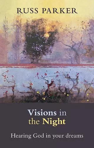 Visions in the Night cover